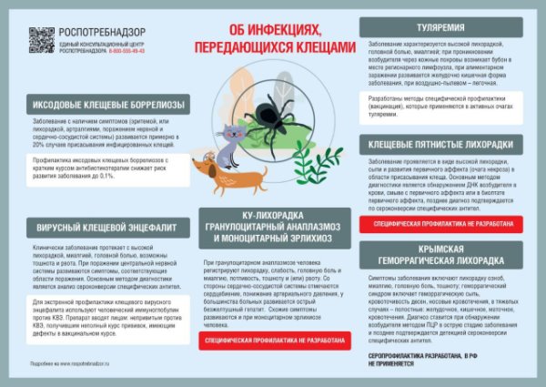 Профилактика клещевого энцефалита и других инфекций, передающимися клещами..