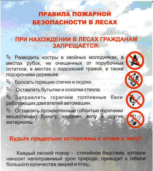 Правила пожарной безопасности в лесах. Правила пожарной безопасности в лесах.