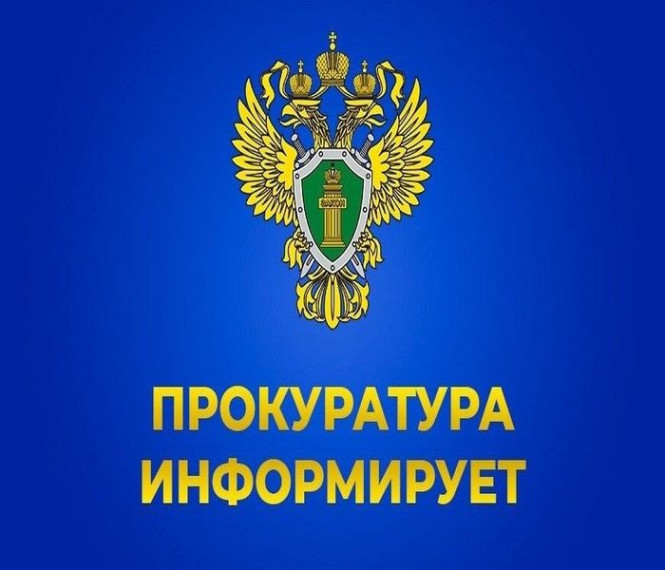 Прокуратура Саратовской области напоминает о правилах, которые помогут не стать жертвой мошенничества и не лишиться средств. Прокуратура Саратовской области напоминает о правилах, которые помогут не стать жертвой мошенничества и не лишиться средств.